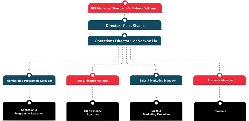 workflo infographics updated